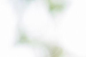 Hochzeitsmesse Leipzig|Halle - Der perfekte Anzug für den Bräutigam
